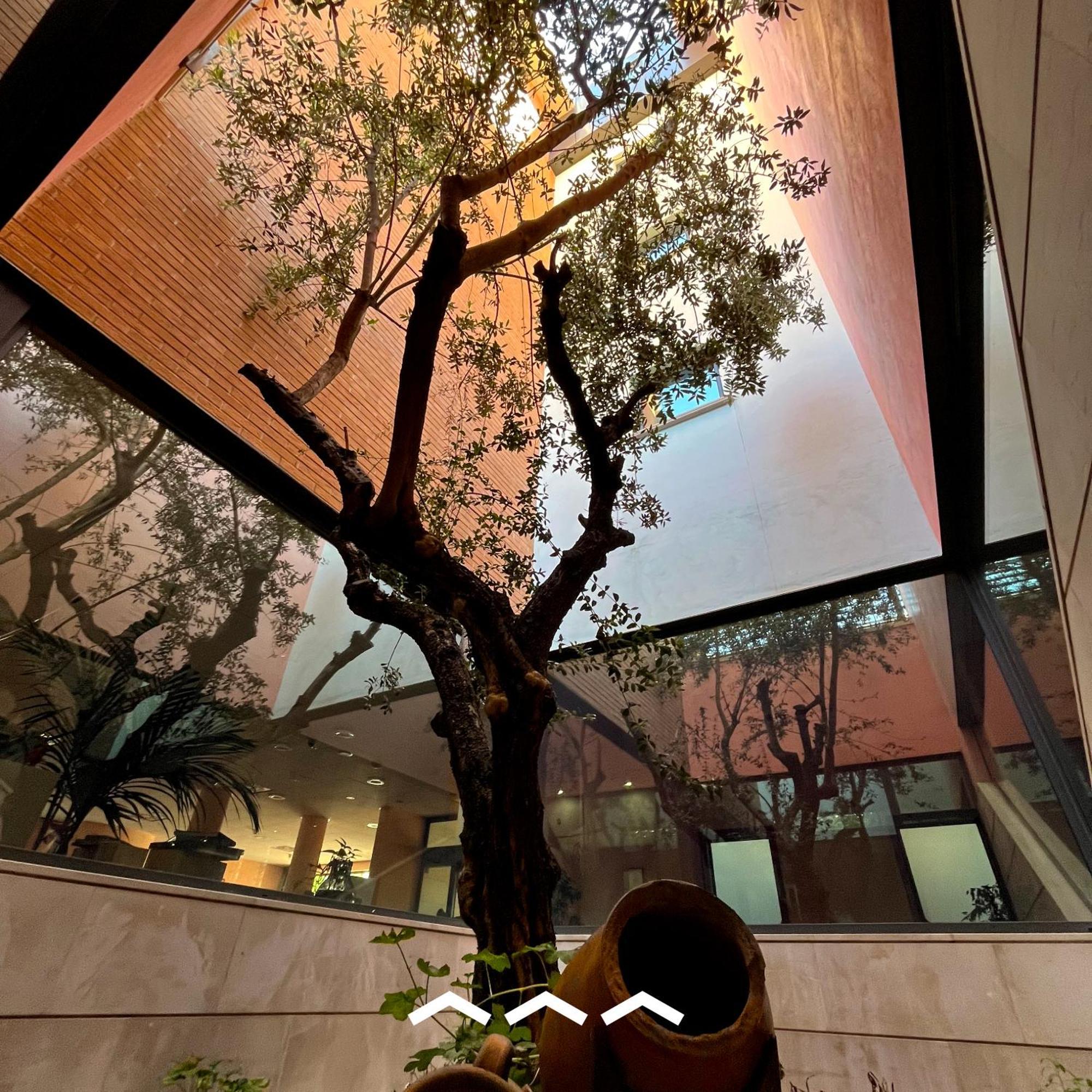 don guglielmo panoramic Hotel&Spa Campobasso Esterno foto